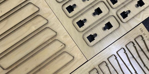 WhatsApp Image 2026-01-09 at 11.45.40